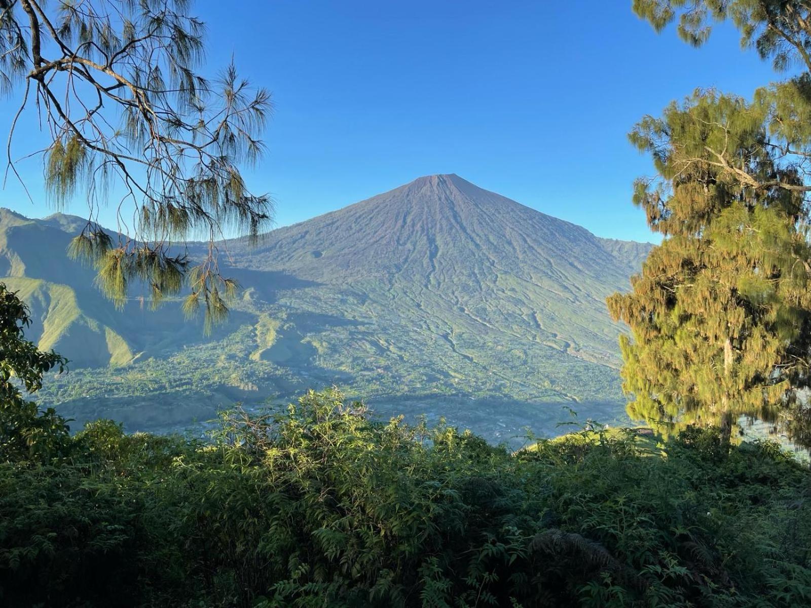 Avocado Homestay Tetebatu Kültér fotó