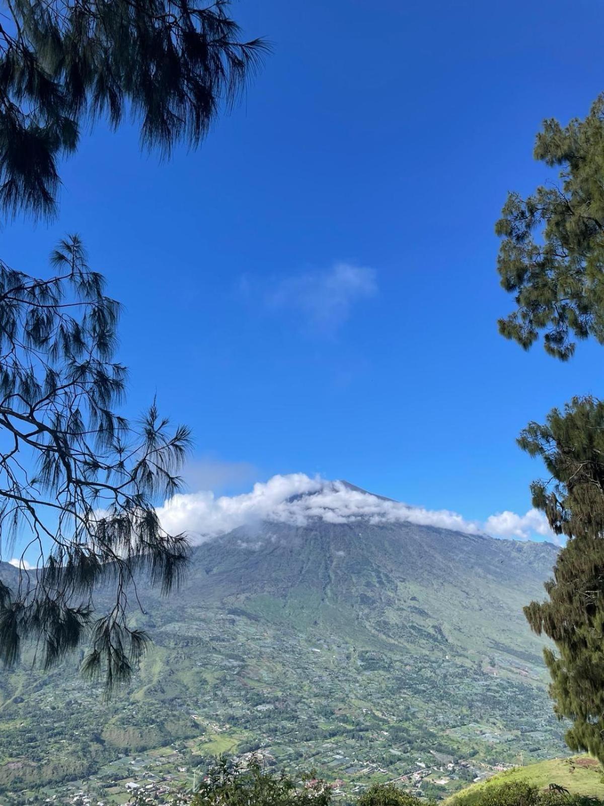 Avocado Homestay Tetebatu Kültér fotó