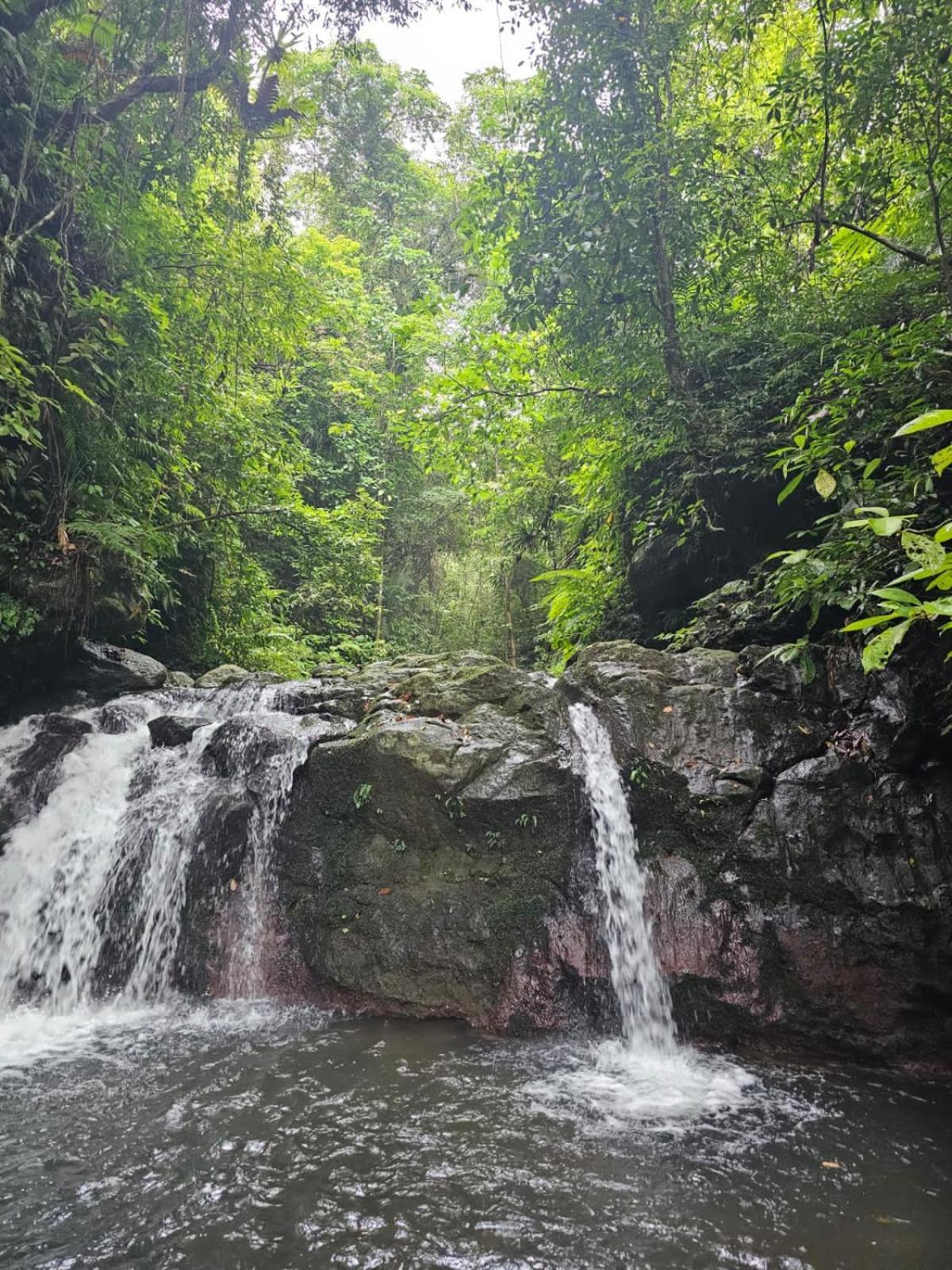 Avocado Homestay Tetebatu Kültér fotó