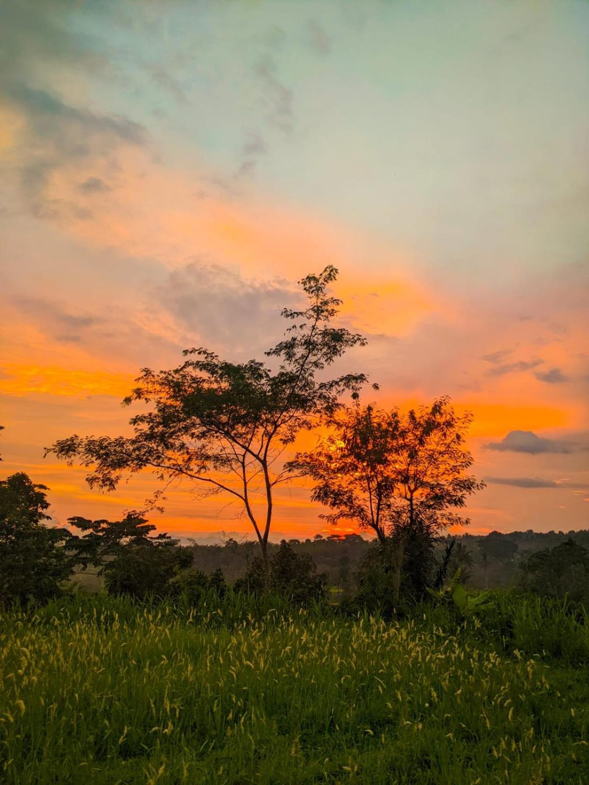 Avocado Homestay Tetebatu Kültér fotó