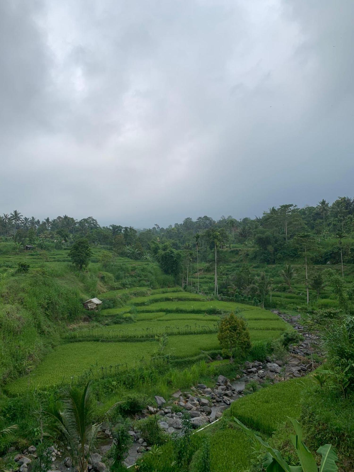 Avocado Homestay Tetebatu Kültér fotó