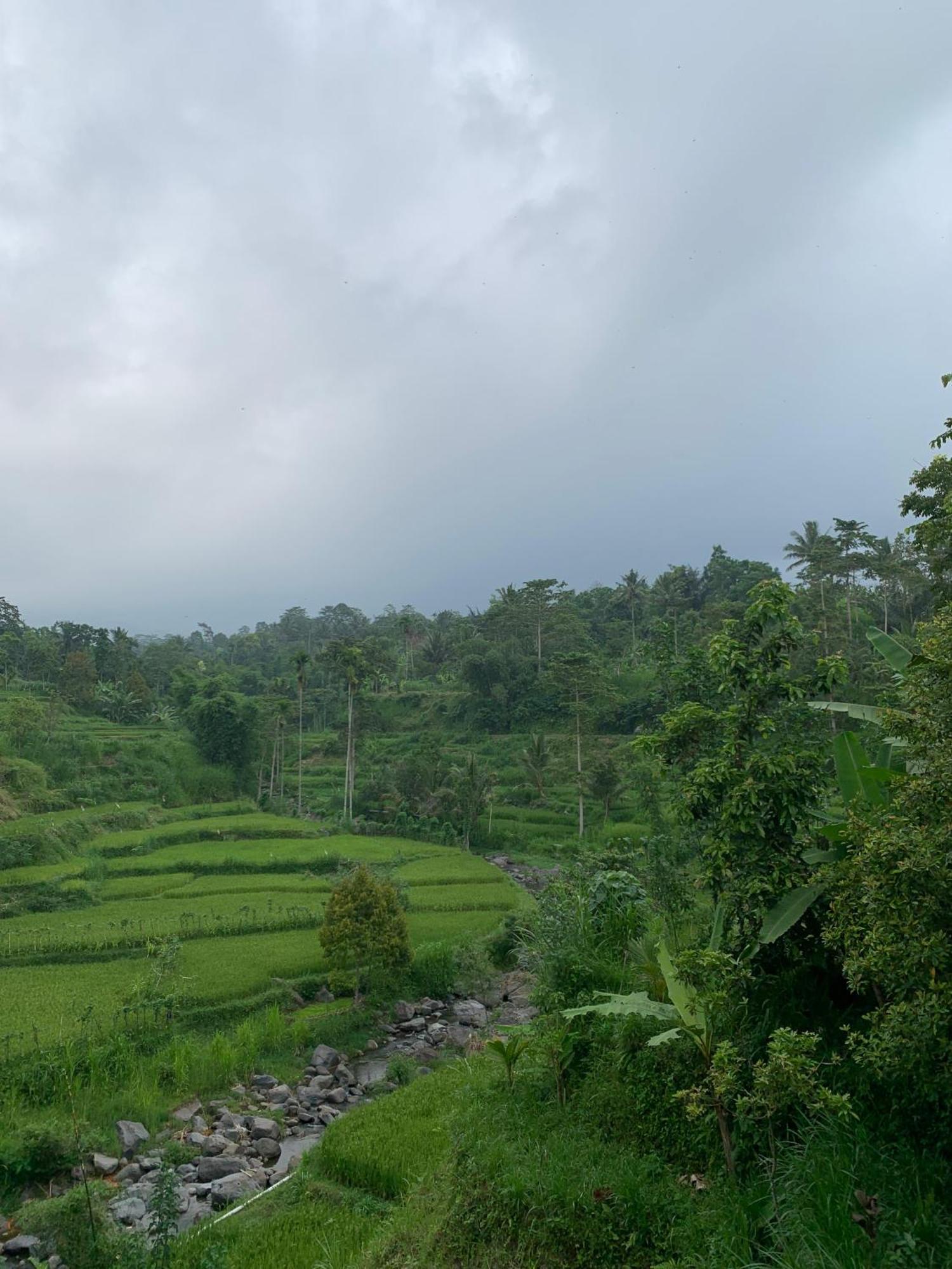 Avocado Homestay Tetebatu Kültér fotó