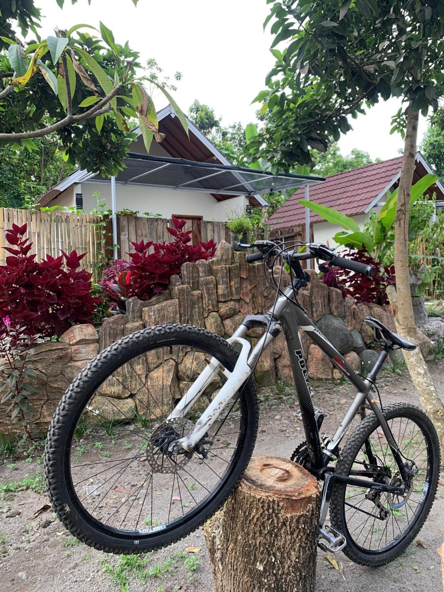 Avocado Homestay Tetebatu Kültér fotó