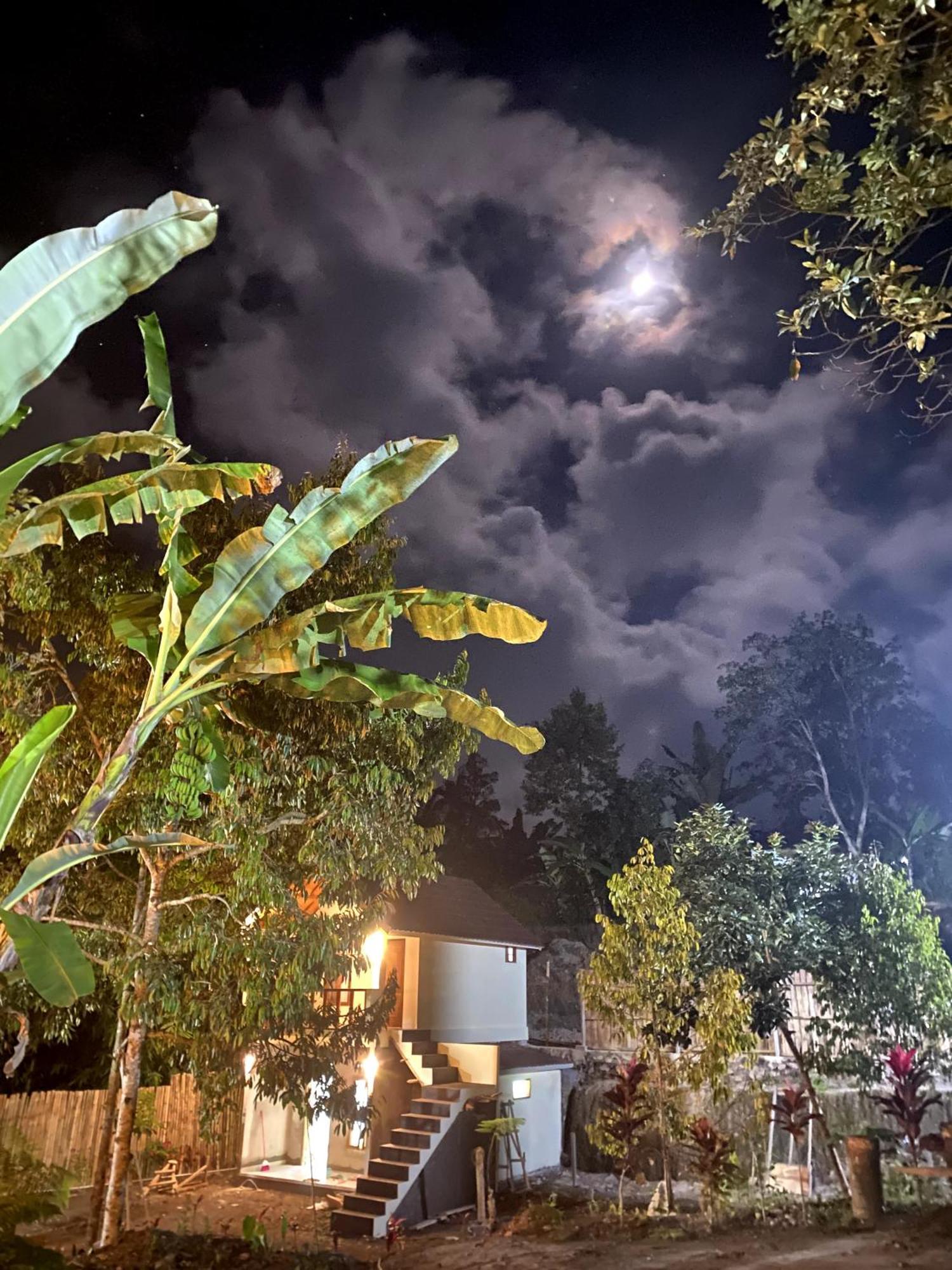 Avocado Homestay Tetebatu Kültér fotó