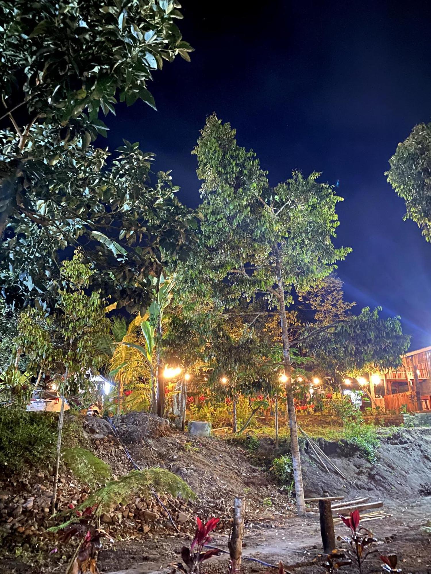 Avocado Homestay Tetebatu Kültér fotó